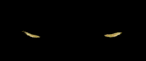 Black Kat 2000.One Logo of Doom!