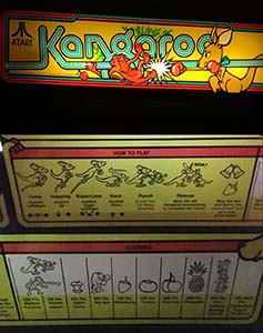 Kangaroo